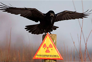 Быль и боль Чернобыля…